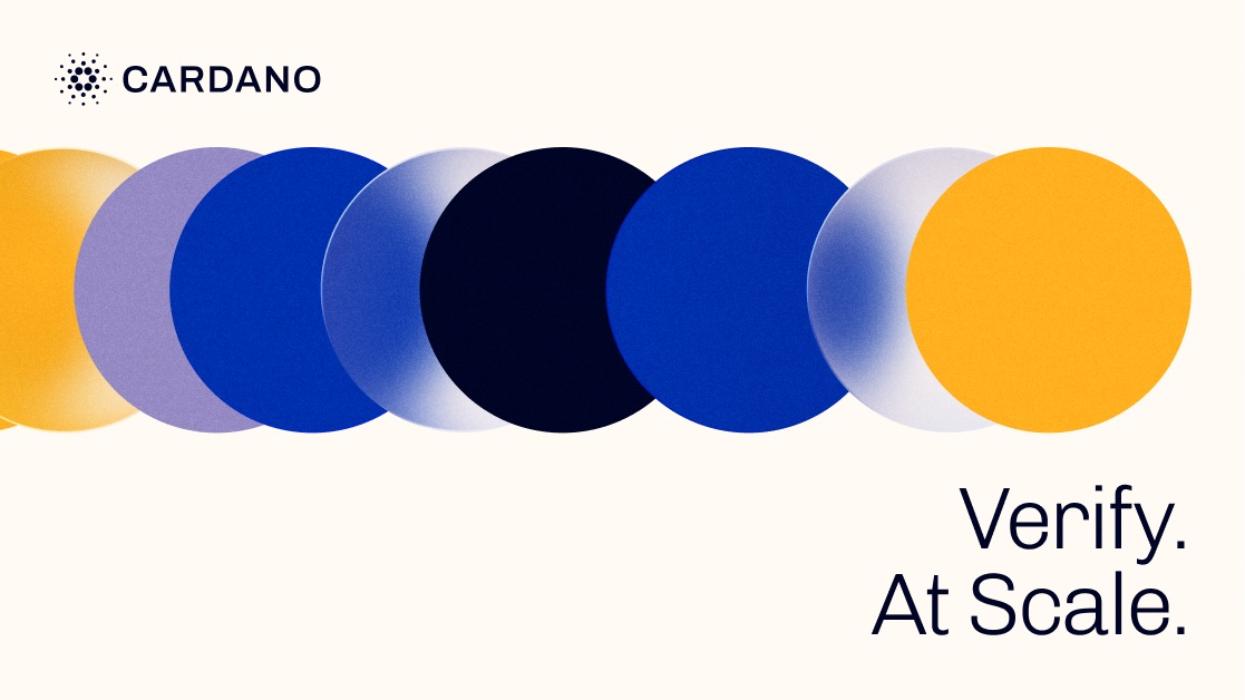 Ecosystem template: a row of overlapping blue, navy, lilac and gold circles on off-white