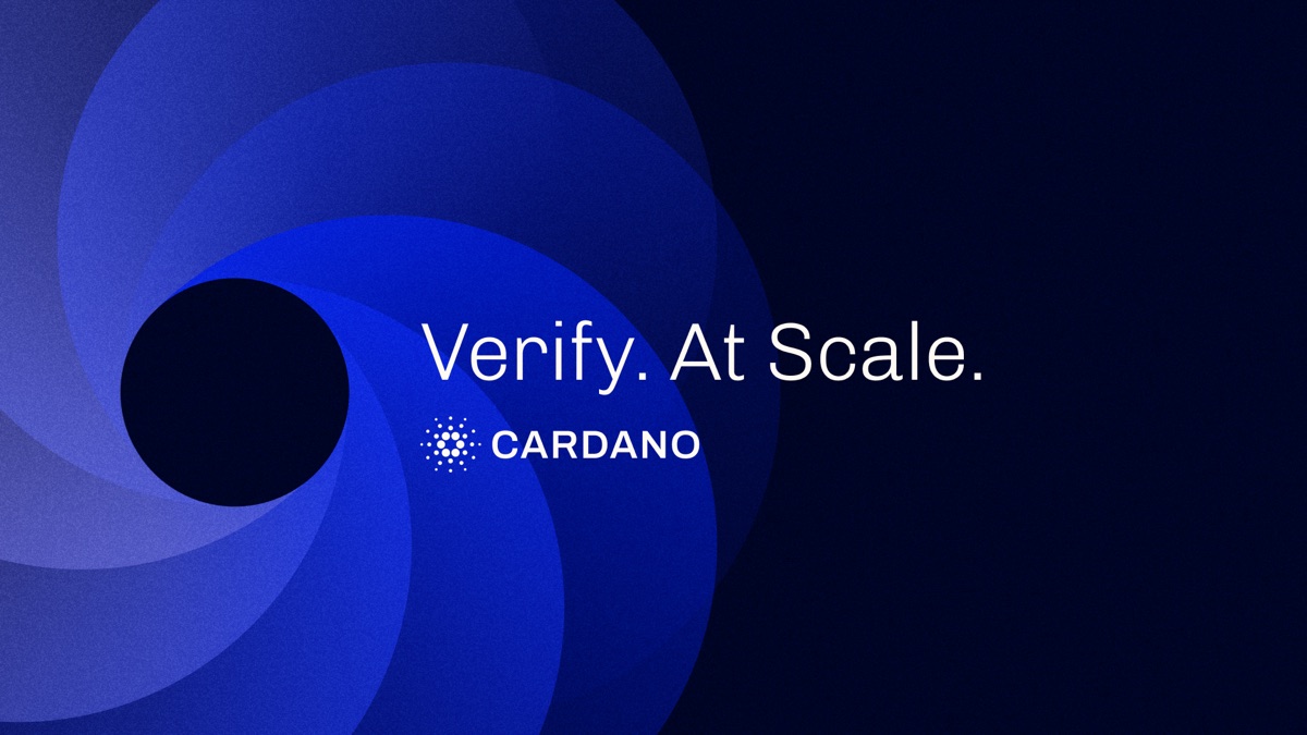 Ecosystem template: a blue swirl of overlapping circles beside the line Verify. At Scale.