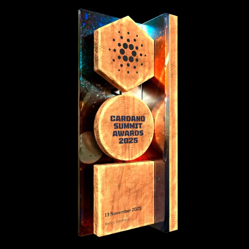 The 2025 Cardano Summit award: wooden hexagon, circle and square blocks mounted on glass